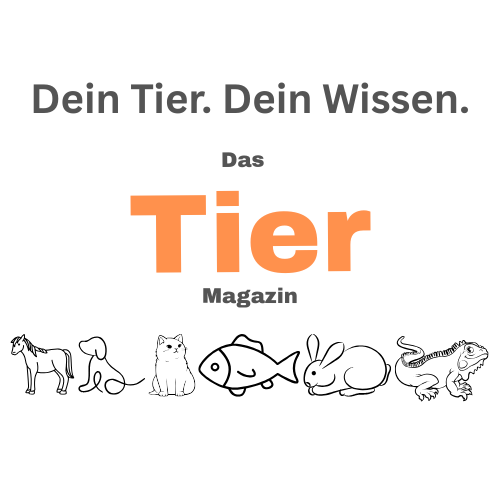 Das Tier Magazin - Alles über Tierpflege, faszinierende Fakten und die Wunder der Tierwelt